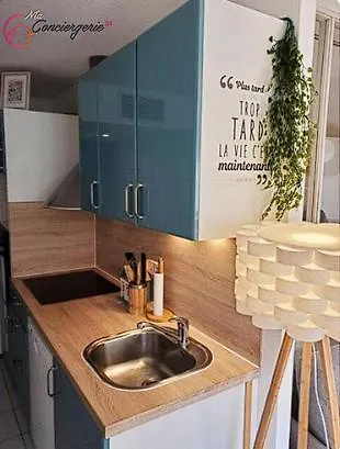 Cocon Cosy Gare St Roch Apartment